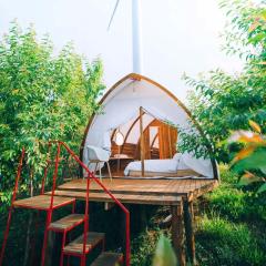 Trạm Mây Glamping