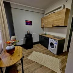 One bedroom apartment for rent