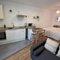 Le Timon - large studio avec Wi-Fi