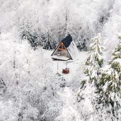 Cozy A-Frame Retreat Near Ljubljana With Hot Tub