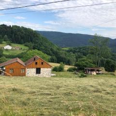 Maison conviviale à Saulxures-sur-Moselotte avec sauna