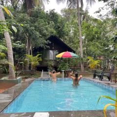 Nature World Jungle Paradise