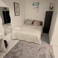 Private Guest Room and Bath Steps from Notre Dame