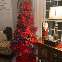 MonJardin Bed and Breakfast