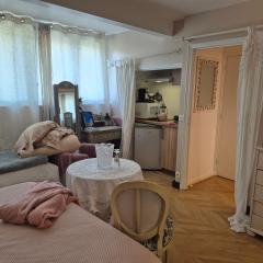 La Lilloise Villeneuve D'Ascq GD STADE Mauroy