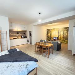 Ubytování v srdci Písku