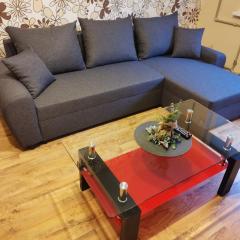 Sunny apartment Kėdainiai