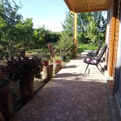 Cabañas camino las rosas