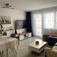 Centrally located and comfortable apartment - Daubenhorn 32