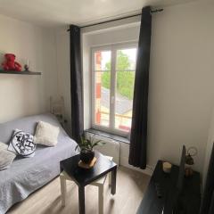Apartment near city center