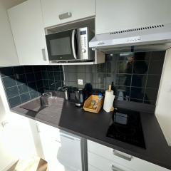 Bright luxury apartment 26