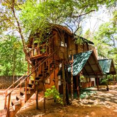 Tree Nest Sigiriya