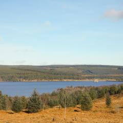 No 2 Railway Cuttings - Uk3402