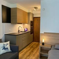 Cozy studio Leukerbad!