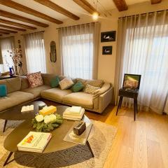 Luxury apartment in the city center