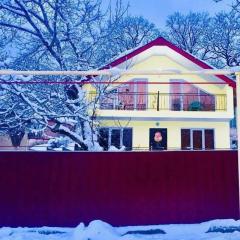 cottage in tsemi (Borjomi)