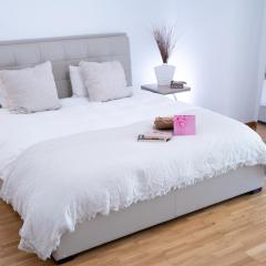 The Prime Design Apartment - Neudorf