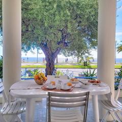 Promenade des Anglais SEA FRONT - Garden sea view