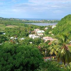 Les locations de Miche