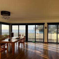 Beachfront Penthouse with Panoramic Ocean-View Terrace VIP Baia