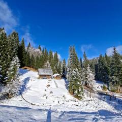 Brunarica na Goreljeku, Pokljuka