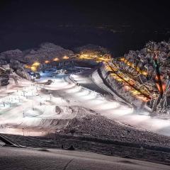 Stella Alpine Apartment - Prato nevoso