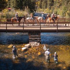 Harmels on the Taylor