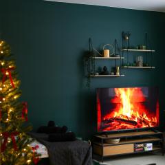 Kalle's House Apartments