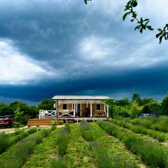 Lavender lodge retreat