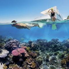 Whispering Palms at Mango House