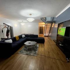 Oceanic-Supreme Standard Spaces