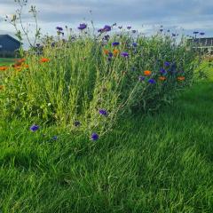 Cozy Holiday Home On Funens North Coast