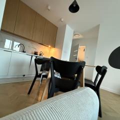 White House art-apartamenty