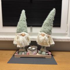 Mounti Alpine Studio