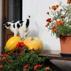 Ferienhaus Christine