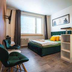 Výchozí bod pro saské Švýcarsko, pet friendly, Děčínský moderní apartmán