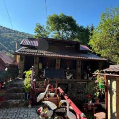 Vila Movila Revelion 2026