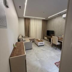 Luxurious 1 Bedroom Apartment