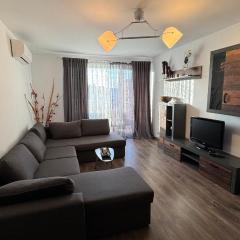 Venus Warm and Stylish Apartament at Coresi