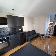 Cozy Albertville studio, close to ski resorts