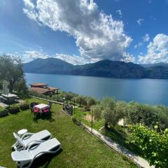 Wohnung Nr 5 Mit Terrasse Und Garten Und Seeblick