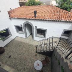 Blue Lizard Apartments