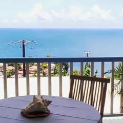 Appartement au bord de mer à Case-Pilote - 67 m² avec terrasse