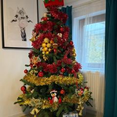 Turqoise Central Apartaments