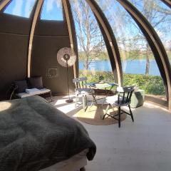 Bulle de l'étang - Etat Nature