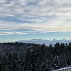 Apartament Zielone Wzgórze