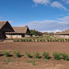 Osutua Rafiki Camp Ltd