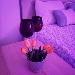 Minimalist Room By Savannah Airport Lake and Sunset Backyard view