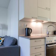 Central Apartment for 3