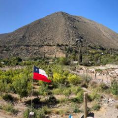 VALLE DEL ELQUI,Diaguitas, Vicuña